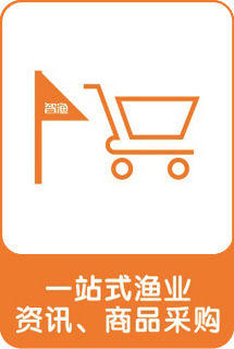 &#33521;&#30343;&#20307;&#32946;&#40;&#20013;&#22269;&#41;&#20307;&#32946;&#23448;&#26041;&#32593;&#31449;