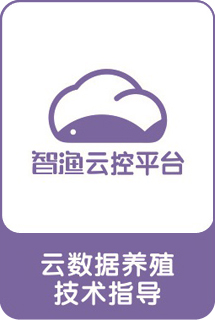 &#33521;&#30343;&#20307;&#32946;&#40;&#20013;&#22269;&#41;&#20307;&#32946;&#23448;&#26041;&#32593;&#31449;